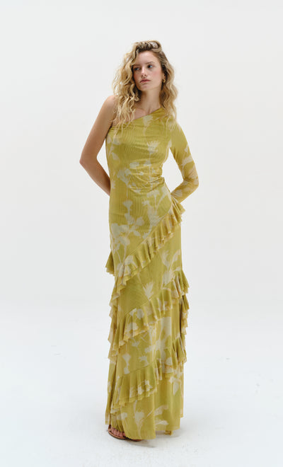 jeronima maxi dress especia Ramtin Maxi Dress – Especia