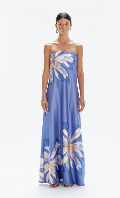 blue ombre dresser Blue Tropical Print Maxi Dress - All Dresses